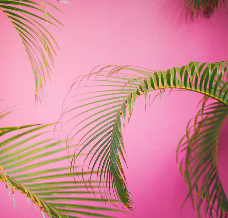 Packaging -background